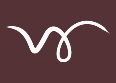 Favicon cropped Housses William